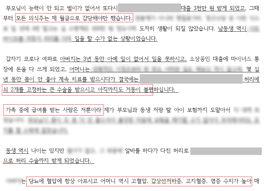 개인회생 재신청, 다시 인가받다.