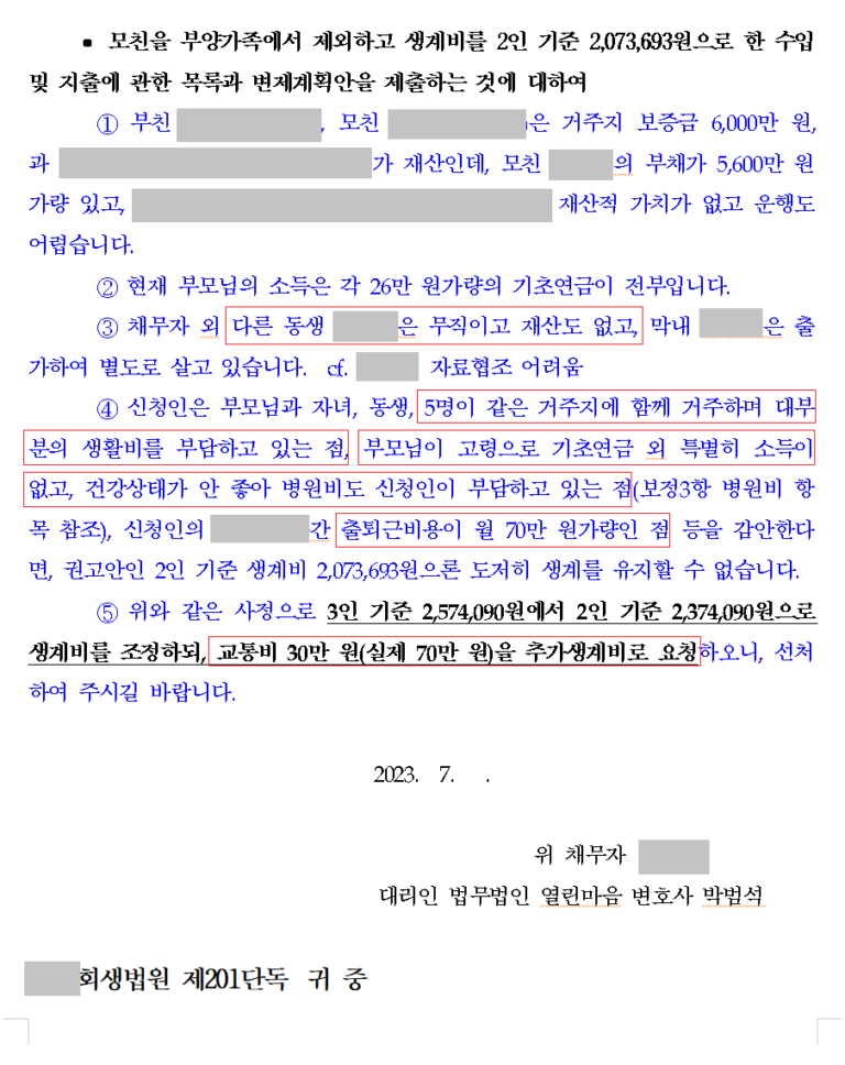 개인회생 재신청, 다시 인가받다.